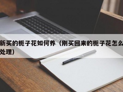 新买的栀子花如何养（刚买回来的栀子花怎么处理）