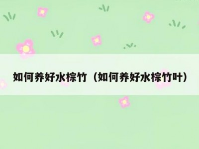 如何养好水棕竹（如何养好水棕竹叶）