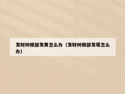 发财树根部发黄怎么办（发财树根部发霉怎么办）