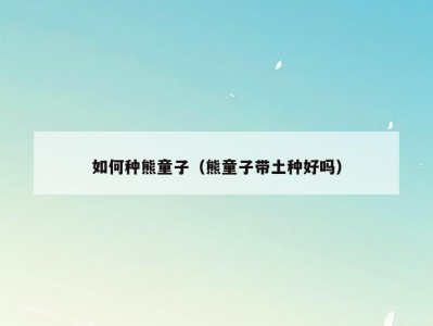 如何种熊童子（熊童子带土种好吗）