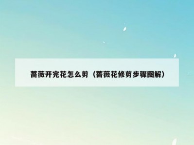 蔷薇开完花怎么剪（蔷薇花修剪步骤图解）