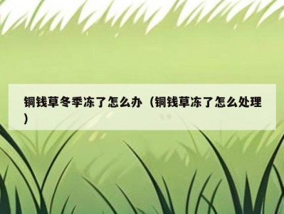 铜钱草冬季冻了怎么办（铜钱草冻了怎么处理）
