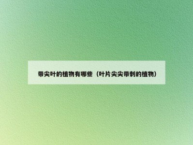 带尖叶的植物有哪些（叶片尖尖带刺的植物）