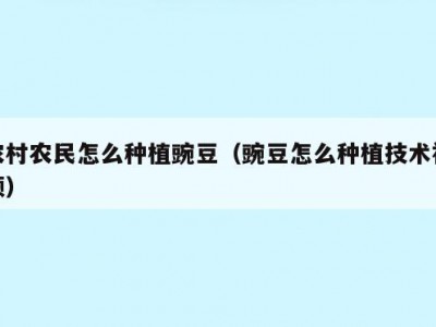 农村农民怎么种植豌豆（豌豆怎么种植技术视频）