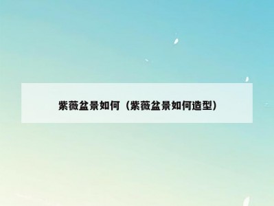 紫薇盆景如何（紫薇盆景如何造型）