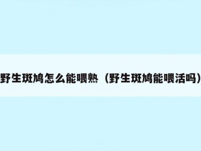 野生斑鸠怎么能喂熟（野生斑鸠能喂活吗）