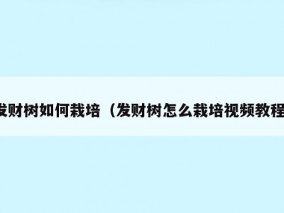 发财树如何栽培（发财树怎么栽培视频教程）