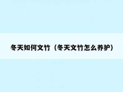 冬天如何文竹（冬天文竹怎么养护）