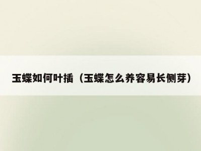 玉蝶如何叶插（玉蝶怎么养容易长侧芽）