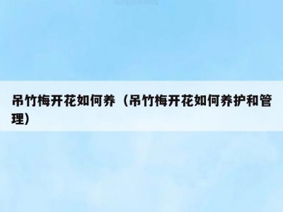 吊竹梅开花如何养（吊竹梅开花如何养护和管理）