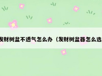 发财树盆不透气怎么办（发财树盆器怎么选）