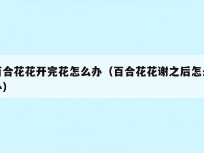 百合花花开完花怎么办（百合花花谢之后怎么办）