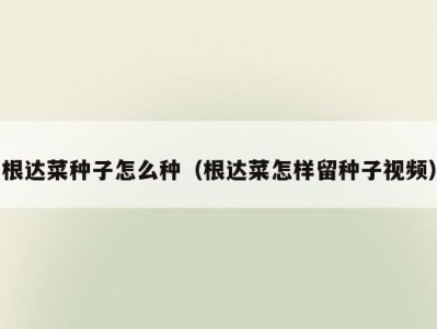 根达菜种子怎么种（根达菜怎样留种子视频）