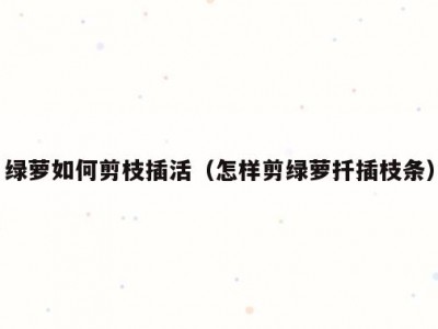 绿萝如何剪枝插活（怎样剪绿萝扦插枝条）