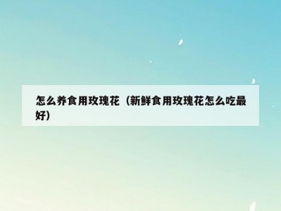 怎么养食用玫瑰花（新鲜食用玫瑰花怎么吃最好）