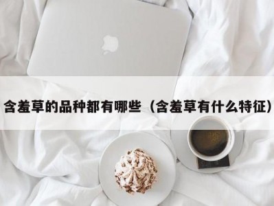 含羞草的品种都有哪些（含羞草有什么特征）