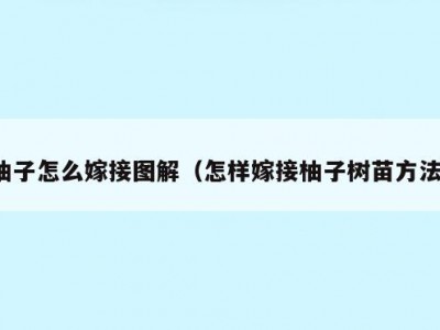 柚子怎么嫁接图解（怎样嫁接柚子树苗方法）