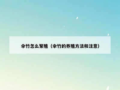 伞竹怎么繁殖（伞竹的养殖方法和注意）