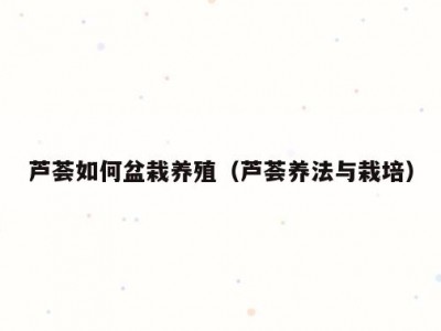 芦荟如何盆栽养殖（芦荟养法与栽培）
