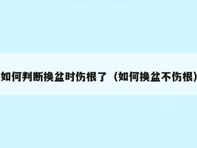 如何判断换盆时伤根了（如何换盆不伤根）