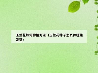 玉兰花如何种植方法（玉兰花种子怎么种植能发芽）