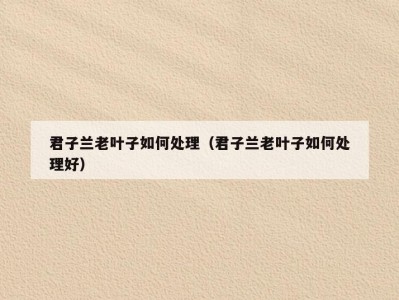君子兰老叶子如何处理（君子兰老叶子如何处理好）