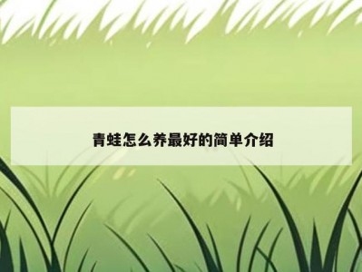 青蛙怎么养最好的简单介绍