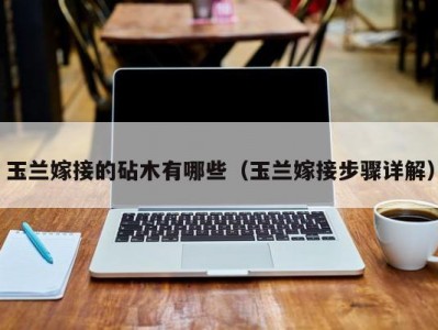 玉兰嫁接的砧木有哪些（玉兰嫁接步骤详解）