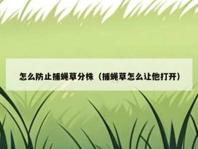 怎么防止捕蝇草分株（捕蝇草怎么让他打开）