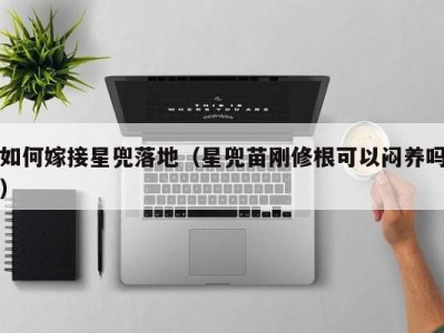 如何嫁接星兜落地（星兜苗刚修根可以闷养吗）