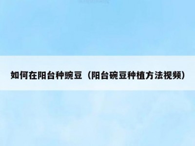 如何在阳台种豌豆（阳台碗豆种植方法视频）