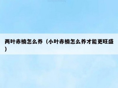 两叶赤楠怎么养（小叶赤楠怎么养才能更旺盛）