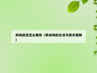 肉狗应该怎么喂养（养肉狗的方法与技术视频）