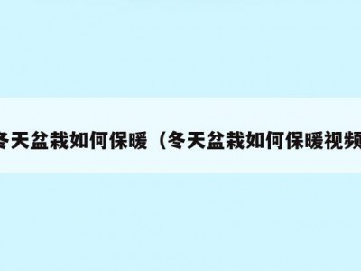 冬天盆栽如何保暖（冬天盆栽如何保暖视频）
